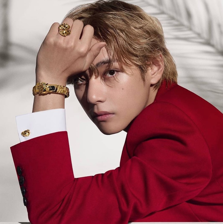KPOP HANDSOME IDOL MALE